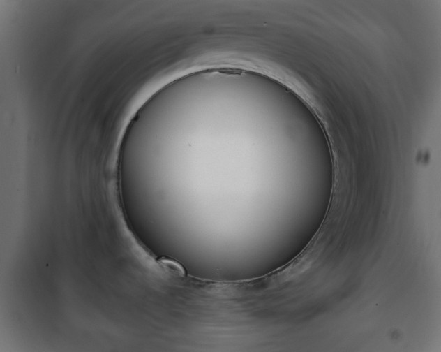 X0000101201536200807071302