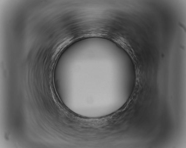 X0000101200001200807111020