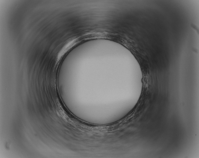 X0000101200004200807111020
