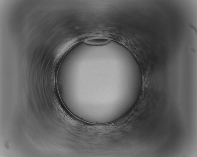 X0000101200005200807111020