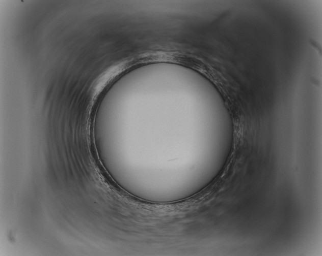 X0000101200006200807111020