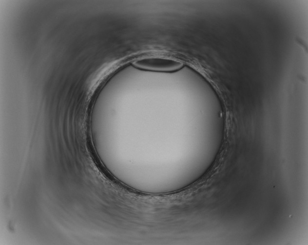 X0000101200007200807111020