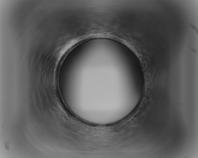 X0000101200008200807111020