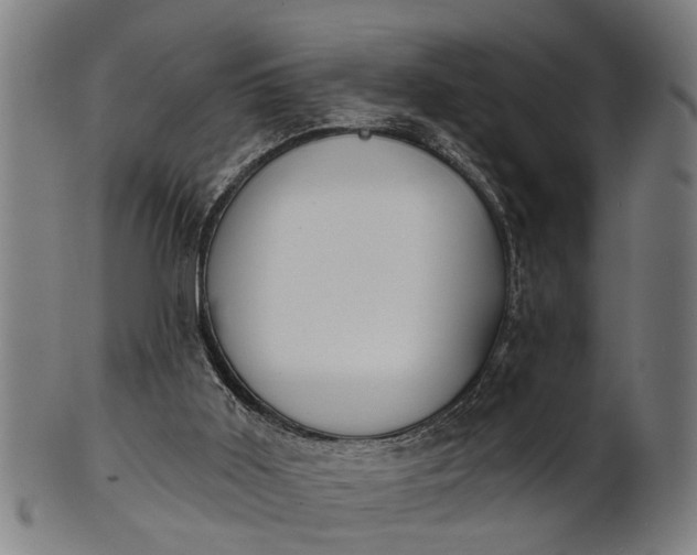 X0000101200011200807111020