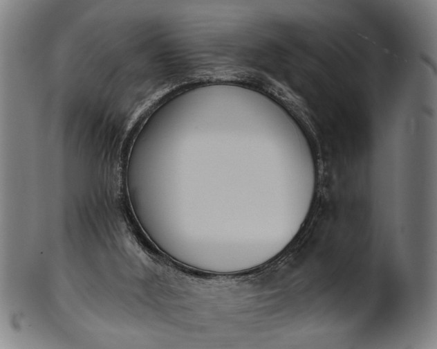 X0000101200012200807111020