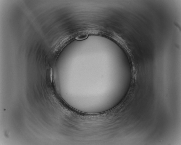 X0000101200013200807111020