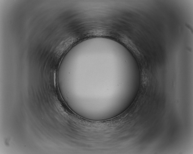 X0000101200014200807111020