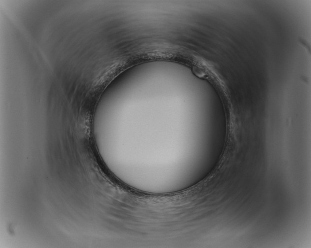 X0000101200017200807111020