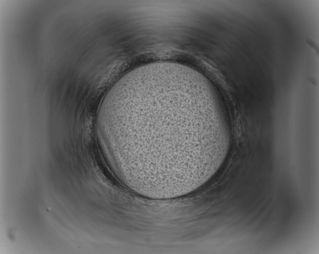 X0000101200018200807111020