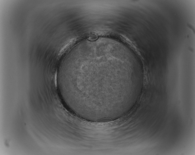 X0000101200019200807111020