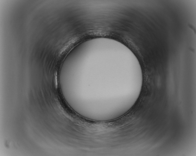 X0000101200020200807111020