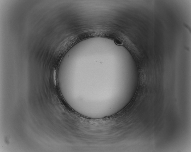 X0000101200022200807111020