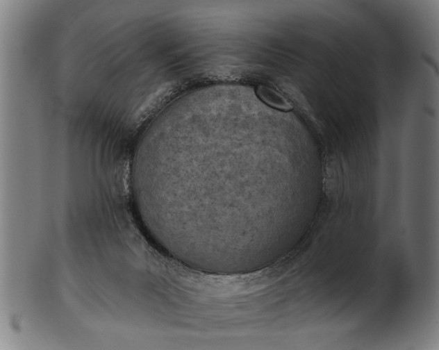 X0000101200023200807111020