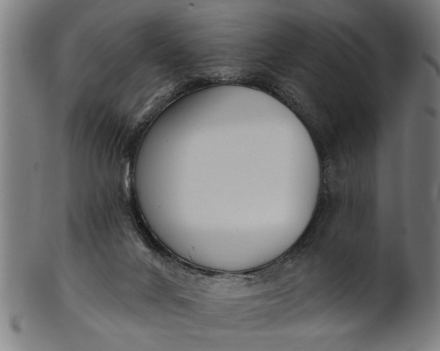 X0000101200024200807111020