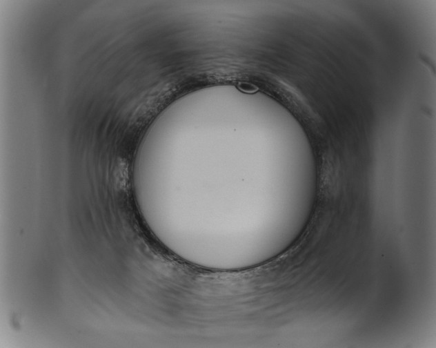 X0000101200025200807111020
