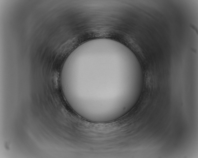 X0000101200026200807111020