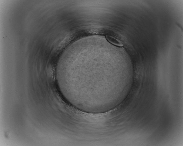 X0000101200031200807111020