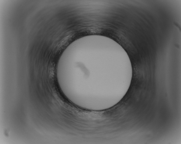 X0000101200032200807111020
