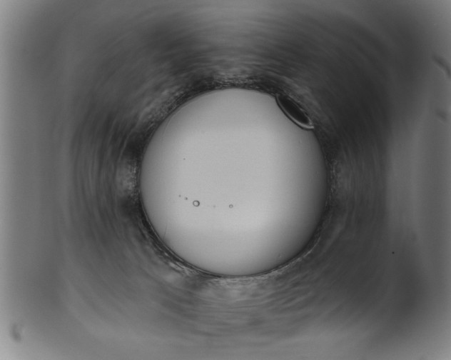 X0000101200033200807111020