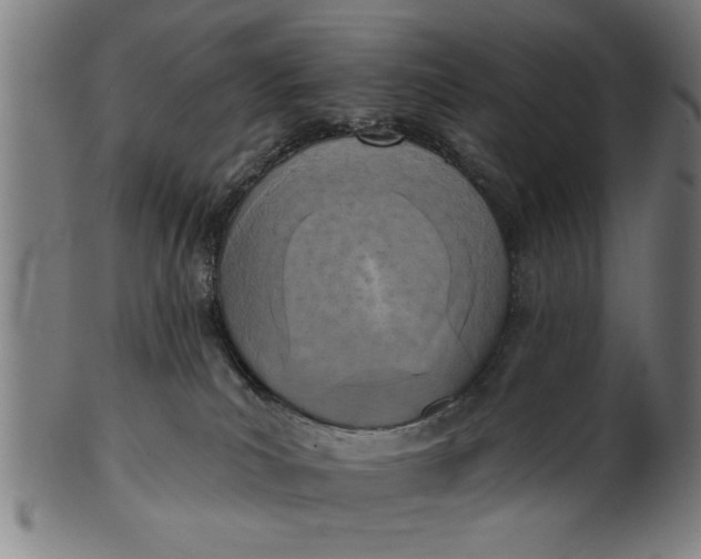 X0000101200039200807111020