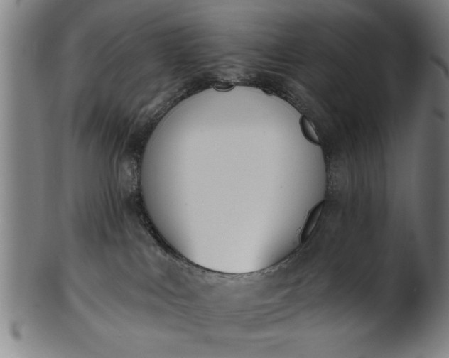 X0000101200043200807111019