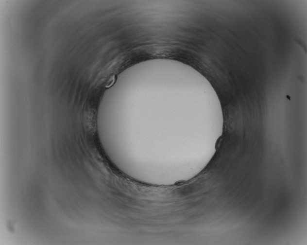 X0000101200044200807111019