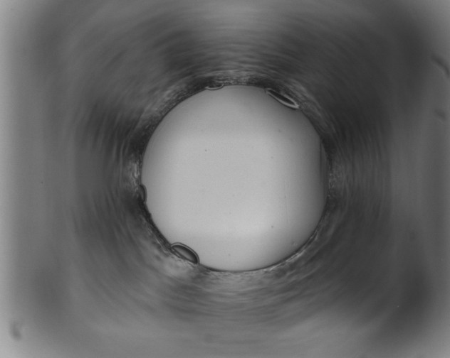 X0000101200045200807111019