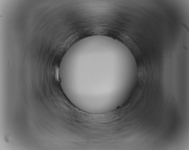 X0000101200046200807111019