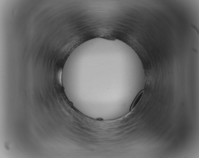 X0000101200047200807111019