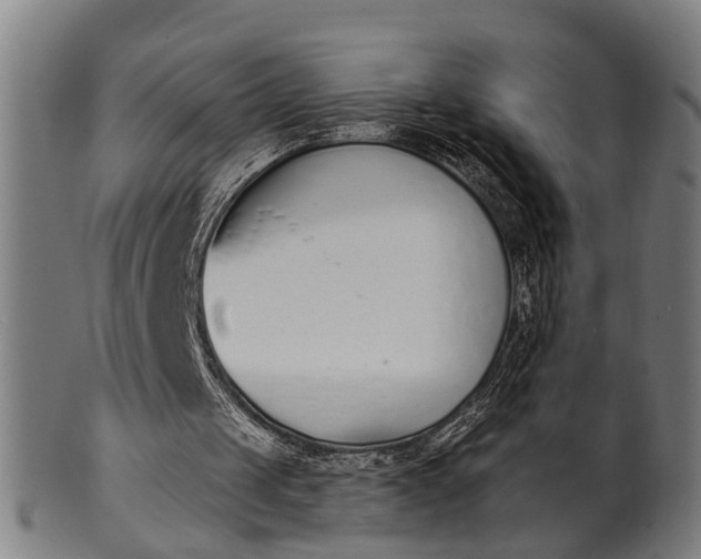 X0000101200049200807111019