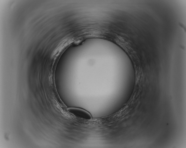 X0000101200050200807111019