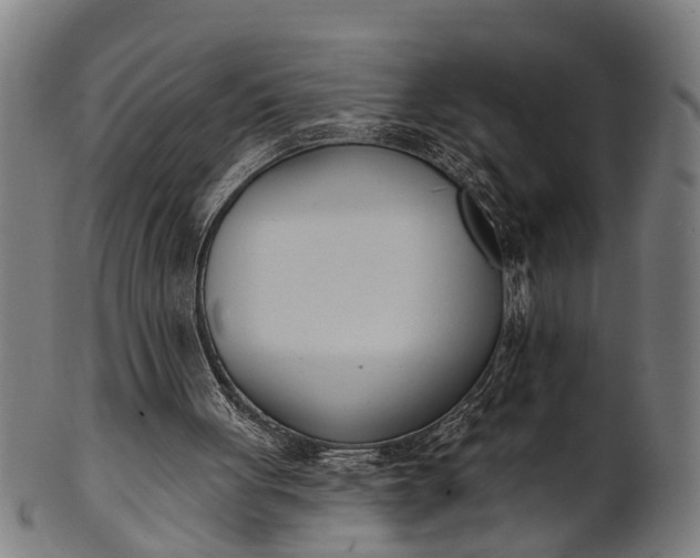 X0000101200051200807111019