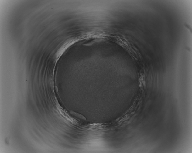 X0000101200052200807111019