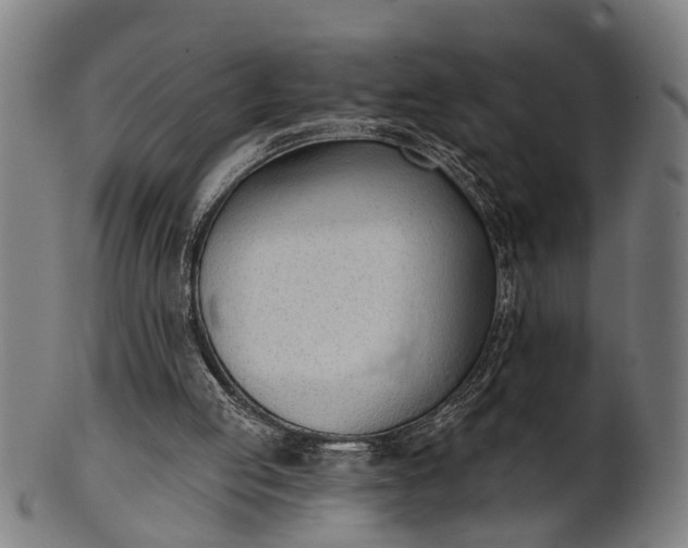 X0000101200053200807111019