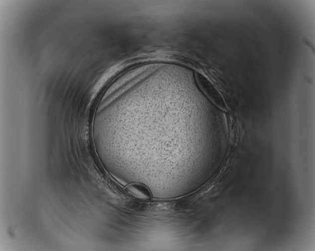X0000101200056200807111019