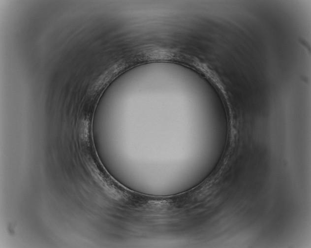 X0000101200057200807111019
