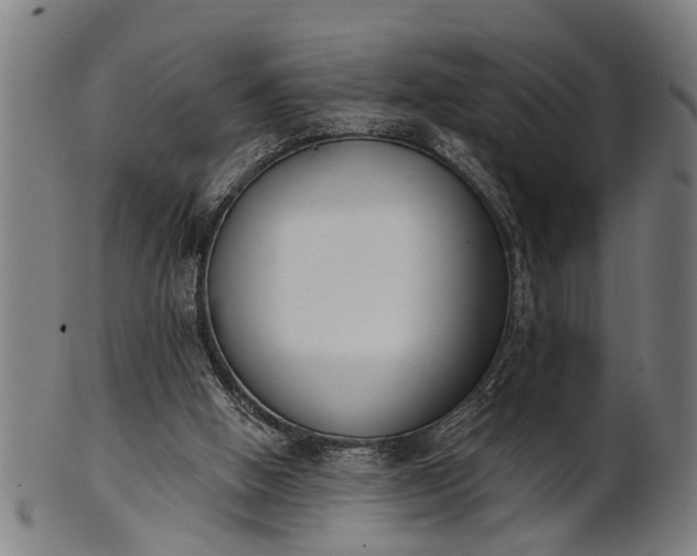 X0000101200058200807111019