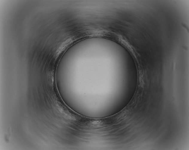 X0000101200059200807111019