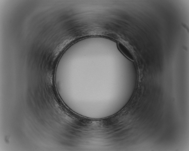 X0000101200060200807111019
