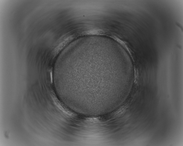 X0000101200061200807111019