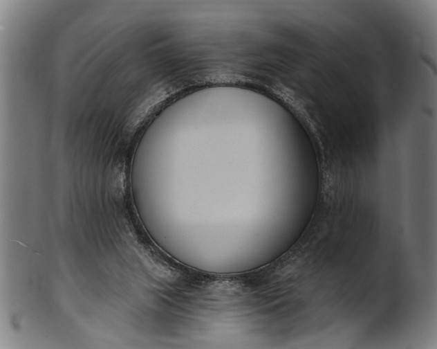 X0000101200063200807111019