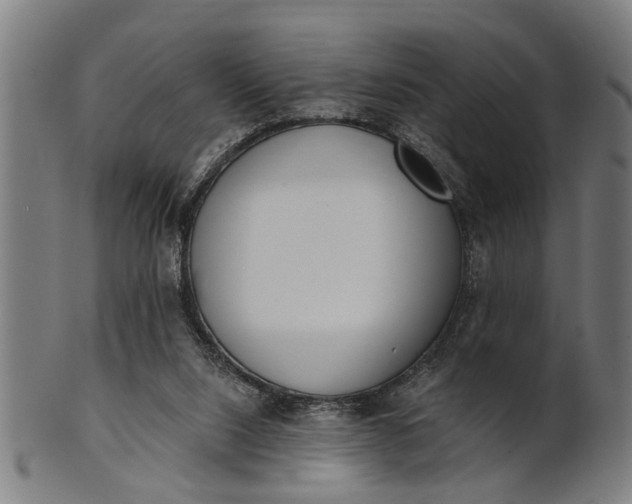 X0000101200064200807111019