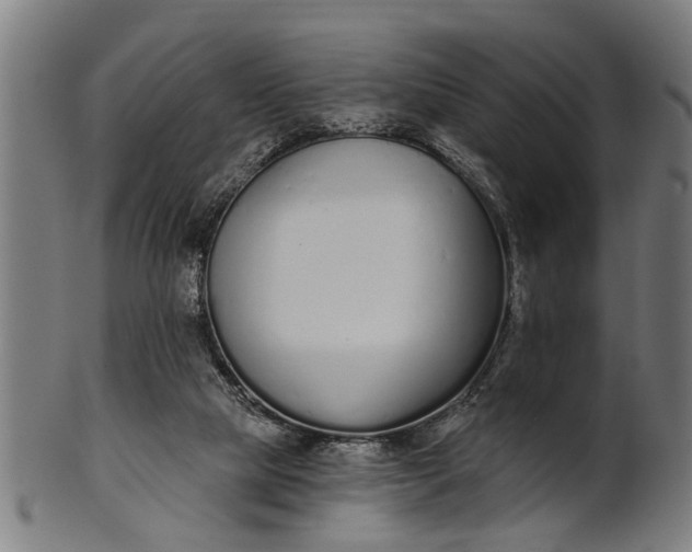 X0000101200065200807111019