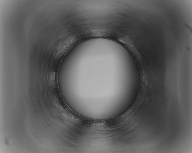 X0000101200066200807111019