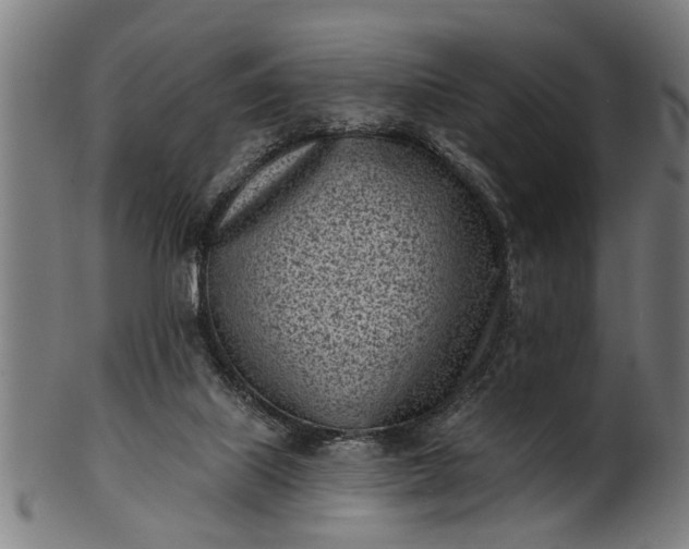 X0000101200067200807111019