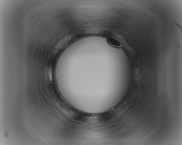 X0000101200068200807111019