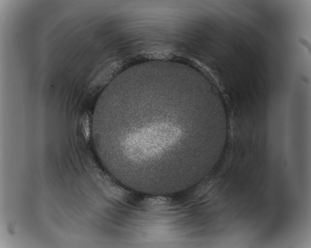 X0000101200069200807111019