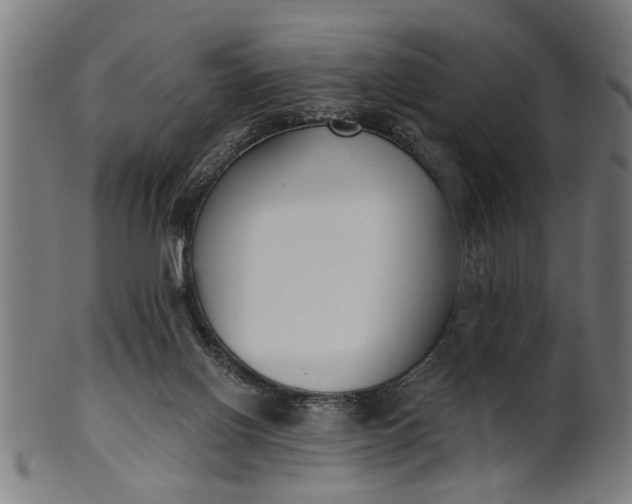 X0000101200070200807111019