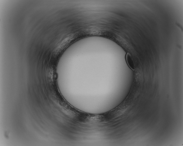 X0000101200072200807111019