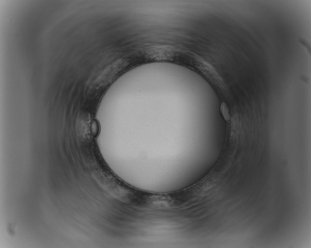 X0000101200073200807111019